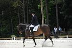 So8ths-5-4-12-Dressage-1273-TraeMeder-DirectFlight-DDeRosaPhoto