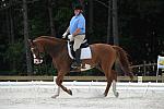 So8ths-5-4-12-Dressage-1340-MichaelLindsey-Hilife-DDeRosaPhoto