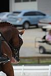 So8ths-5-4-12-Dressage-1343-MichaelLindsey-Hilife-DDeRosaPhoto