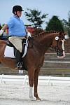 So8ths-5-4-12-Dressage-1350-MichaelLindsey-Hilife-DDeRosaPhoto