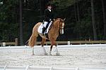 So8ths-5-4-12-Dressage-1365-SarahZimmer-MardiGras-DDeRosaPhoto