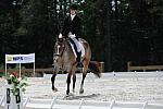 So8ths-5-4-12-Dressage-1441-KelseyBriggs-CuttersSouthernJaz-DDeRosaPhoto