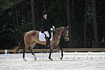 So8ths-5-4-12-Dressage-1444-KelseyBriggs-CuttersSouthernJaz-DDeRosaPhoto