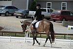 So8ths-5-4-12-Dressage-1453-KelseyBriggs-CuttersSouthernJaz-DDeRosaPhoto