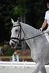 So8ths-5-4-12-Dressage-0864-DCMcBroom-GroundForce-DDeRosaPhoto