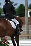 So8ths-5-4-12-Dressage-0876-KelseyBriggs-TheItalianJob-DDeRosaPhoto