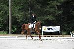 So8ths-5-4-12-Dressage-0879-KelseyBriggs-TheItalianJob-DDeRosaPhoto