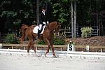 So8ths-5-4-12-Dressage-0883-KelseyBriggs-TheItalianJob-DDeRosaPhoto