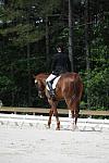 So8ths-5-4-12-Dressage-0891-KelseyBriggs-TheItalianJob-DDeRosaPhoto