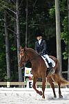 So8ths-5-4-12-Dressage-0929-KristinNeill-BigBonesBailey-DDeRosaPhoto
