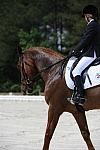 So8ths-5-4-12-Dressage-0938-KristinNeill-BigBonesBailey-DDeRosaPhoto
