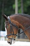 So8ths-5-4-12-Dressage-1052-KindellBillingsley-Keeneland-DDeRosaPhoto