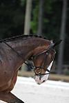 So8ths-5-4-12-Dressage-1057-KindellBillingsley-Keeneland-DDeRosaPhoto