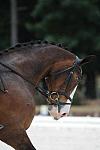 So8ths-5-4-12-Dressage-1063-KindellBillingsley-Keeneland-DDeRosaPhoto