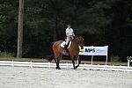 So8ths-5-4-12-Dressage-1090-BeckyBrown-TotallyBroke-DDeRosaPhoto