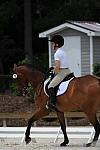 So8ths-5-4-12-Dressage-1093-BeckyBrown-TotallyBroke-DDeRosaPhoto