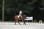 So8ths-5-4-12-Dressage-1099-BeckyBrown-TotallyBroke-DDeRosaPhoto