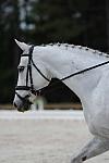 So8ths-5-4-12-Dressage-1155-DCMcBroom-GroundForce-DDeRosaPhoto