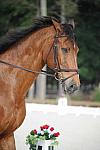 So8ths-5-4-12-Dressage-0308-BevWarner-Arnold-DDeRosaPhoto