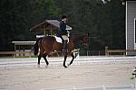 So8ths-5-4-12-Dressage-0351-CarolOgden-InRhythm-DDeRosaPhoto