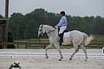 So8ths-5-4-12-Dressage-0370-MichaelLindsey-OnlyToYou-DDeRosaPhoto