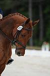 So8ths-5-4-12-Dressage-0392-KerryTracey-BourbonGingerbear-DDeRosaPhoto