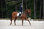 So8ths-5-4-12-Dressage-0417-KerryTracey-BourbonGingerbear-DDeRosaPhoto
