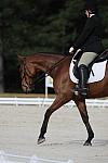 So8ths-5-4-12-Dressage-0434-LaurenTracey-Ransom-DDeRosaPhoto