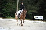 So8ths-5-4-12-Dressage-0477-JordanLambert-RioWild-DDeRosaPhoto