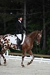 So8ths-5-4-12-Dressage-0483-JordanLambert-RioWild-DDeRosaPhoto