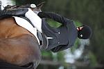 So8ths-5-4-12-Dressage-0517-KatellynPadgett-AddedMoney-DDeRosaPhoto