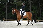 So8ths-5-4-12-Dressage-0558-RachelWade-Nicole-DDeRosaPhoto