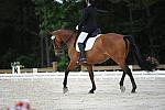 So8ths-5-4-12-Dressage-0569-RachelWade-Nicole-DDeRosaPhoto