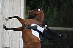 So8ths-5-4-12-Dressage-0574-RachelWade-Nicole-DDeRosaPhoto