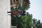 So8ths-5-4-12-Dressage-0591-LindsayStaianoWilliams-TriumphII-DDeRosaPhoto