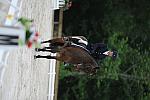 So8ths-5-4-12-Dressage-0622-LindsayStaianoWilliams-TriumphII-DDeRosaPhoto