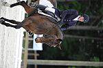 So8ths-5-4-12-Dressage-0630-LindsayStaianoWilliams-TriumphII-DDeRosaPhoto
