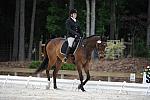 So8ths-5-4-12-Dressage-0647-GwenKriskie-Barney-DDeRosaPhoto