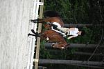 So8ths-5-4-12-Dressage-0676-AllieKeresman-MysticDora-DDeRosaPhoto