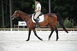So8ths-5-4-12-Dressage-0698-AllieKeresman-MysticDora-DDeRosaPhoto