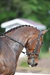 So8ths-5-4-12-Dressage-0718-BonnieMosser-Isbond-DDeRosaPhoto