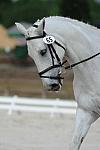 So8ths-5-4-12-Dressage-0784-KaylinMedlin-Watch-Me-Now-DDeRosaPhoto