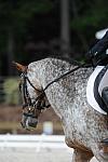 So8ths-5-4-12-Dressage-0803-RisaMoon-LilyB-DDeRosaPhoto