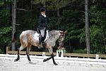So8ths-5-4-12-Dressage-0813-RisaMoon-LilyB-DDeRosaPhoto
