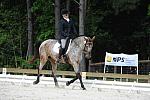 So8ths-5-4-12-Dressage-0814-RisaMoon-LilyB-DDeRosaPhoto