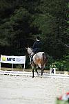 So8ths-5-4-12-Dressage-0817-RisaMoon-LilyB-DDeRosaPhoto
