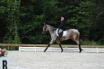 So8ths-5-4-12-Dressage-0826-RisaMoon-LilyB-DDeRosaPhoto
