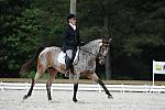 So8ths-5-4-12-Dressage-0827-RisaMoon-LilyB-DDeRosaPhoto
