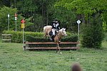 So8ths-5-4-13-XC-7124-TaylorPence-Goldie-DDeRosaPhoto