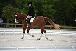 So8ths-5-3-13-Dressage-5315-ErinHite-Codachrome-DDeRosaPhoto